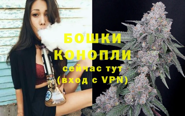 СК Инта