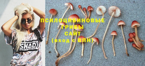 ешки Балабаново