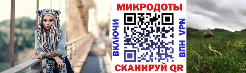Псилоцибиновые грибы Psilocybine cubensis  кракен ссылки  Жигулёвск 